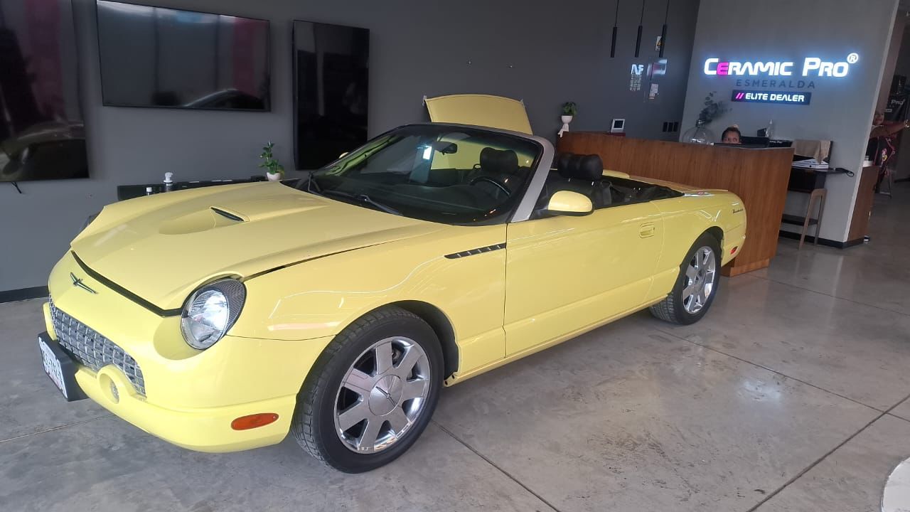 Thunderbird - View 2